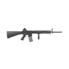 ARES M16-RIS AEG