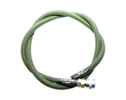 Amped Custom - Amped Line (AGL) Dual QD - 42