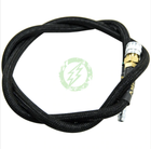 Amped Custom - Amped Line (AGL) Dual QD - 42